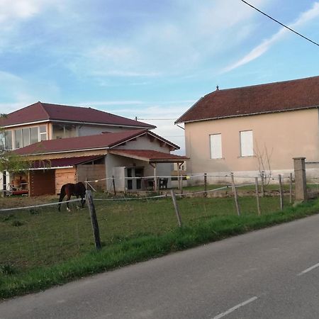 Maison De 100M2 Au Coeur D'Une Pension Equestre Les Sabots De Nina Marcollin Bagian luar foto